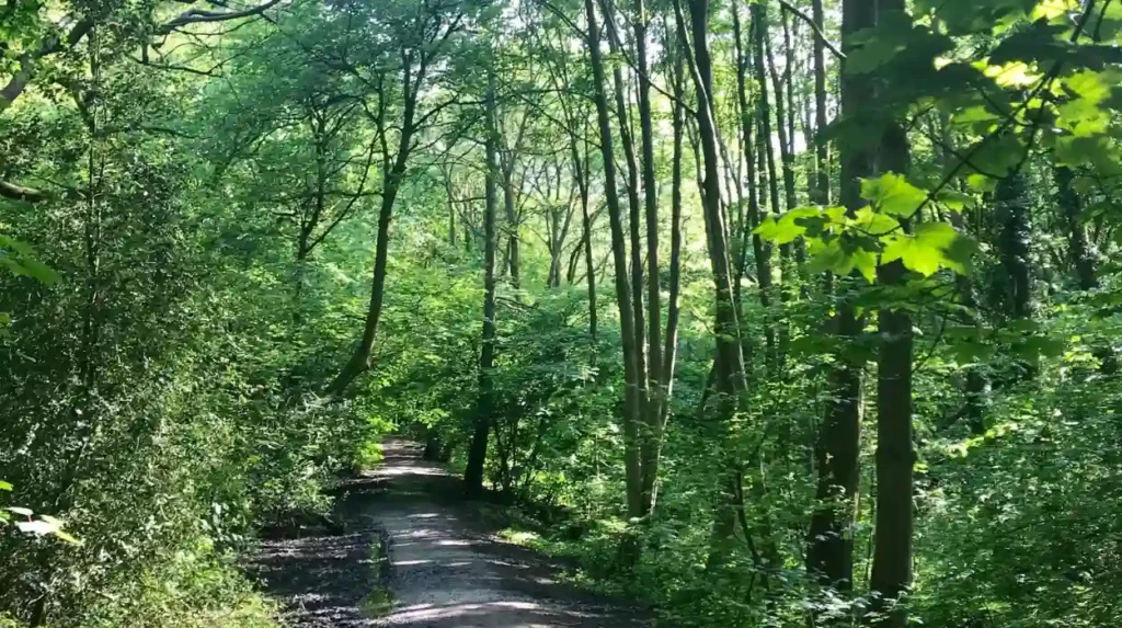 Which parks are best for outdoor exercise in Headingley